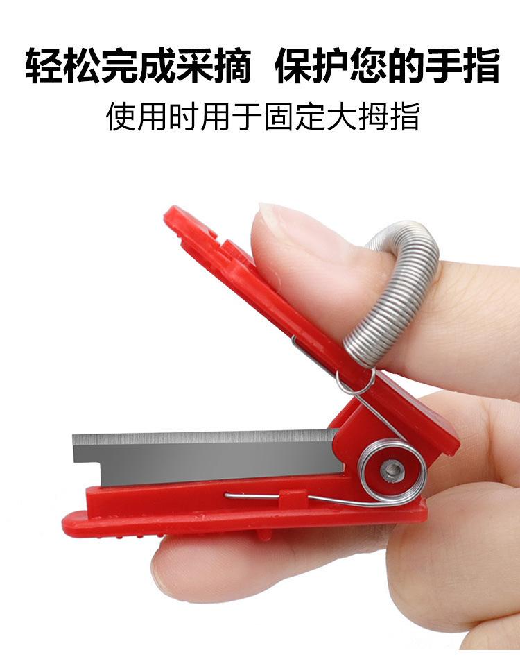Product Introduction of Garden Thumb Knife, Finger Pick Ring Knife, Garden Cutter For Fruits, Vegetables, Flowers, Fruit Finger Picker, Handy Garden Tool 2