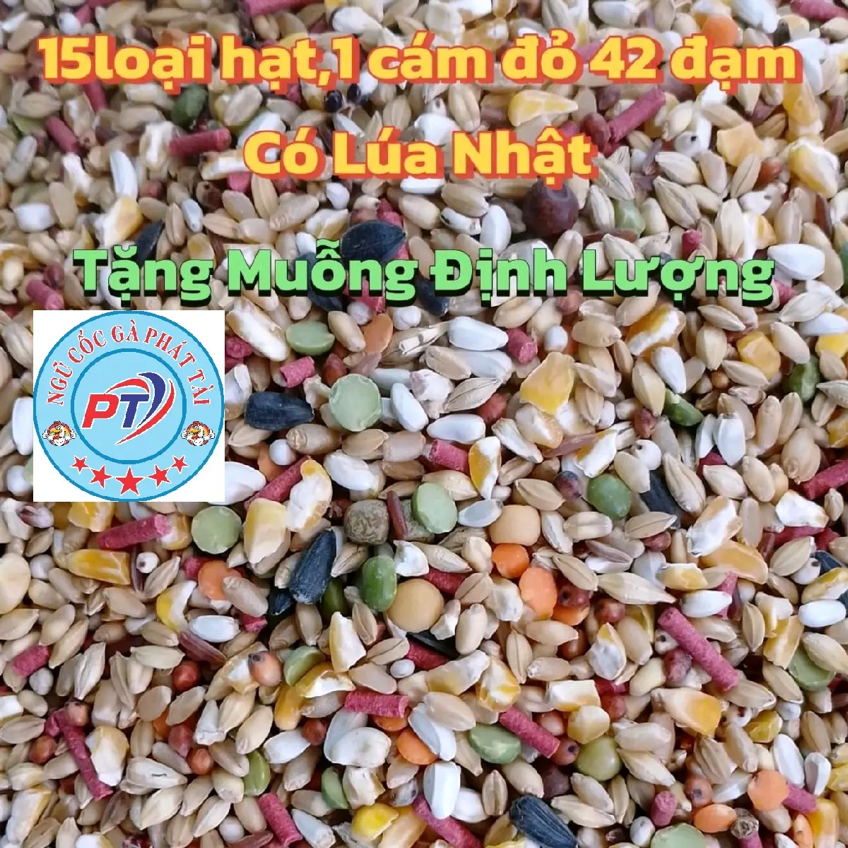 5 kg Ngũ Cốc Gà 15 Loại Hạt+1 Cám Đỏ+Lúa Nhật(Tặng Muỗng Định Lượng)
