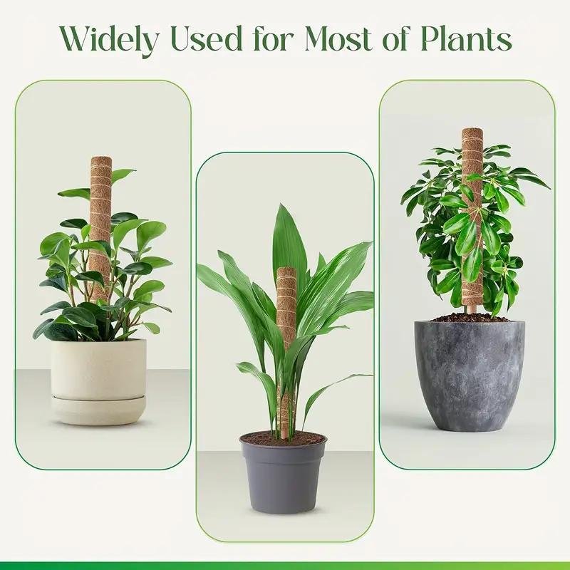 Coconut Shell Moss Rods, Plant Support Extension for Climbing Indoor Creeper, Garden Supplies for Home Garden, Home Supplies 6