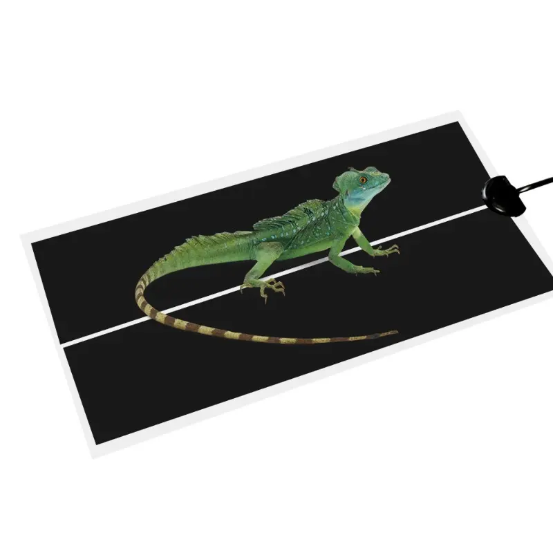 5-45W Terrarium Reptiles Heat Mat Climbing Pet Heating Warm Pads Adjustable Temperature Controller Mats Reptiles Heating Pad