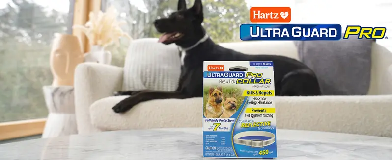 flea treatment are hartz flea collars safe