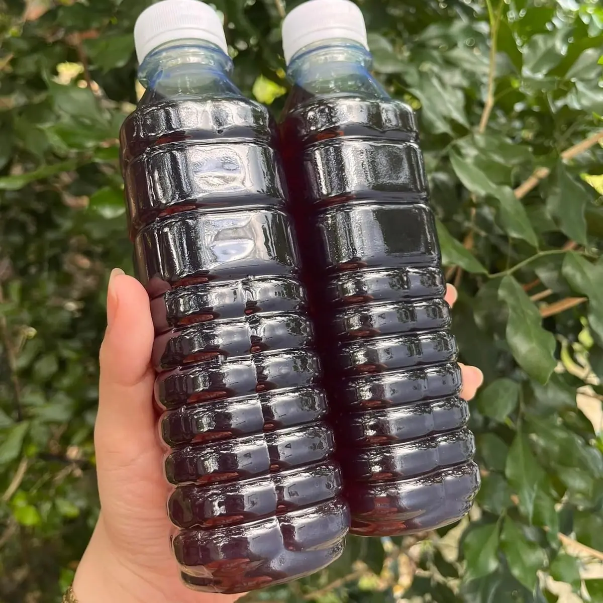 Combo 3 Set Sâm Bí Đao Anh Sinh Viên - Nguyên liệu 1 set nấu 12 lít Nước Trà - [Có kèm công thức nấu] | BigBuy360 - bigbuy360.vn