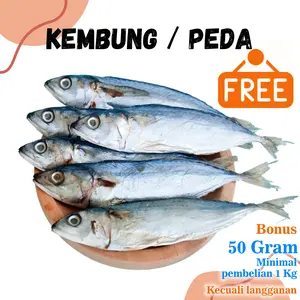 IKAN PEDA / KEMBUNG BANYAR ASIN 250 gram Food Laut Kering