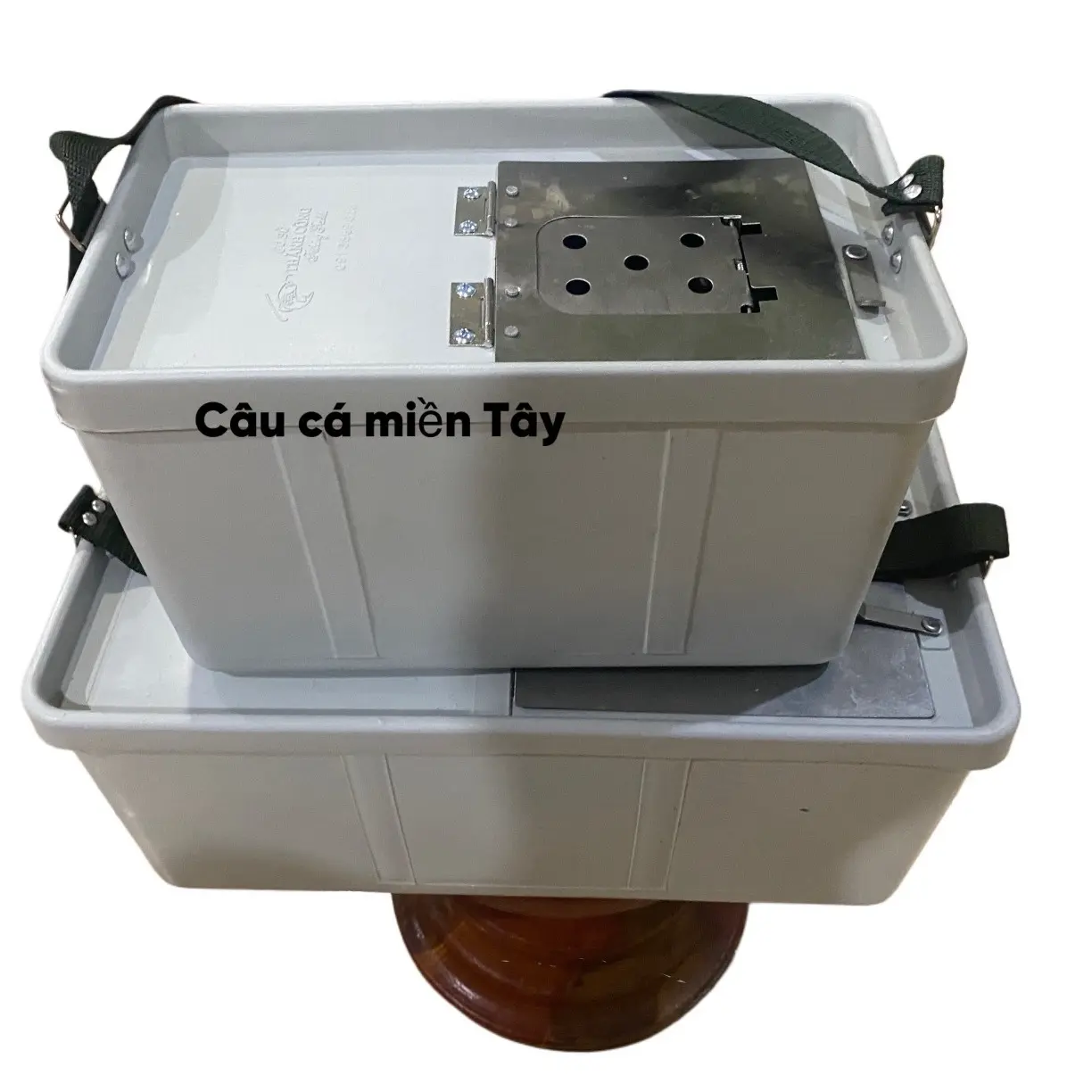 Thùng nhựa đựng cá