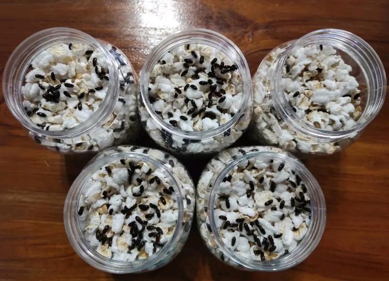 Product Introduction of พร้อมส่ง กระดิ่งเงินกระดิ่งทอง เรียกเงินเรียกทอง ค้าขายร่ำรวย ขายดิบขายดีเป็นเทน้ำเทท่า เลี้ยงกระดิ่งเงินกระดิ่งทองให้มีลูกหลานมากมายคนเลี้ยงก็จะมีเงินทองมาก ไม่ขาดมือ 5