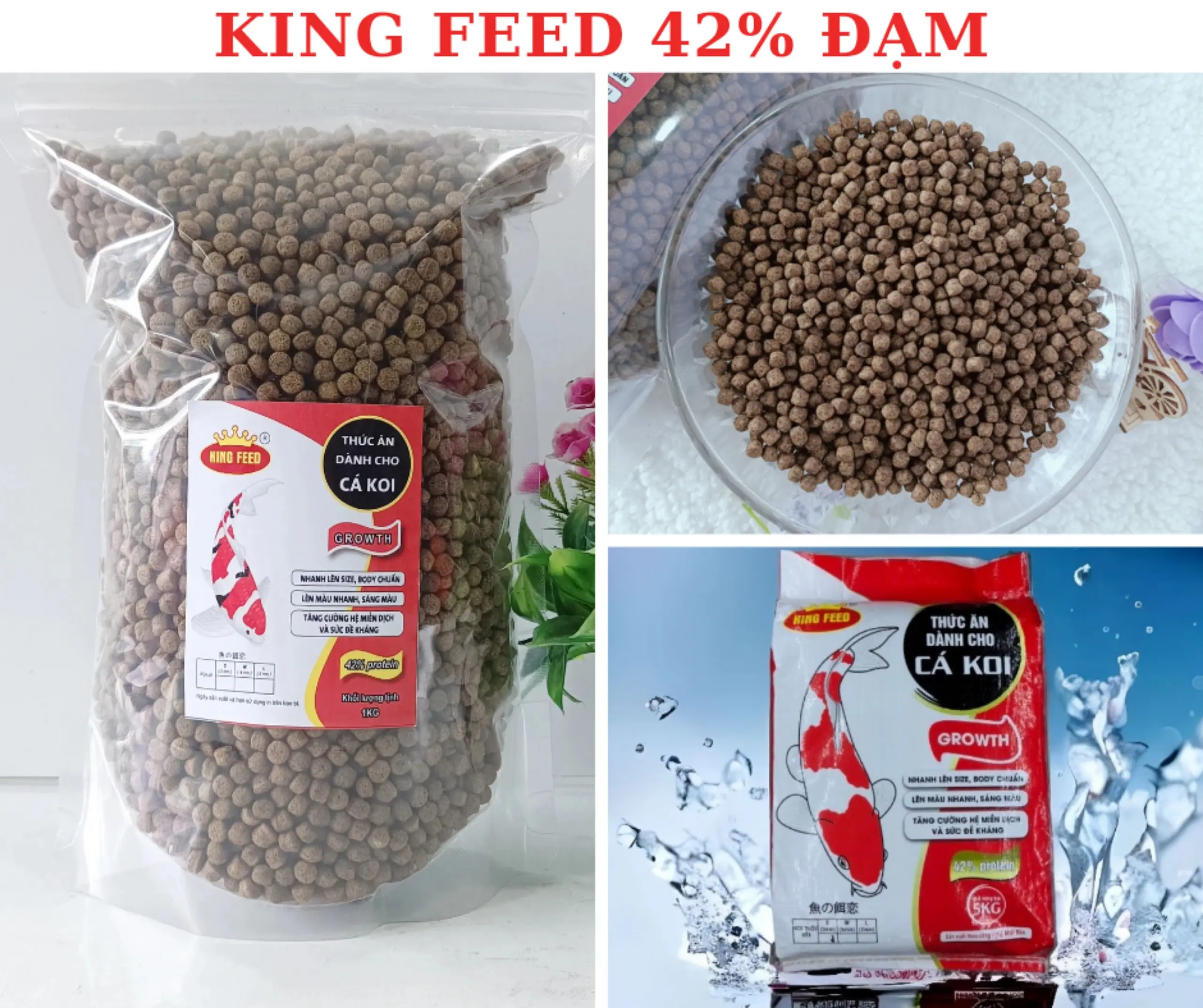 Cám cá Koi King Feed - Giúp cá Koi phát triển nhanh, mạnh khỏe, lên màu đẹp