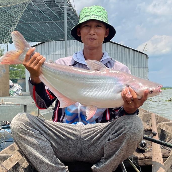  Mồi Câu Cá Tổng Hợp Trần Đại Cám Tanh Câu Sông ,Câu Bè 