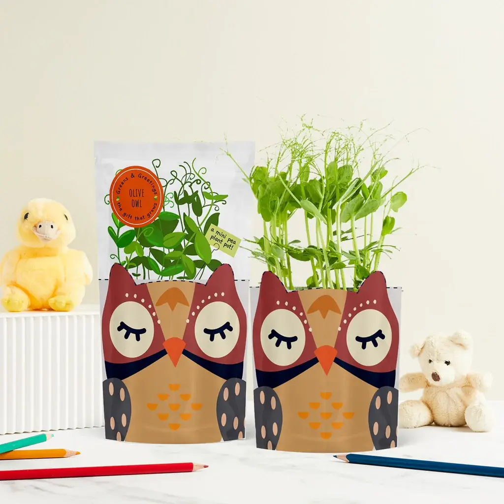 Greens & Greetings: Olive Owl - Eco-Friendly Growable Card and Seed Gift for Children and Adults