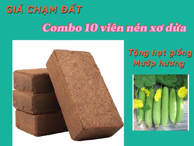 Đất nén xơ dừa  trồng cây 10 viên tặng kèm hạt giống mướp hương siêu quả trồng quanh năm