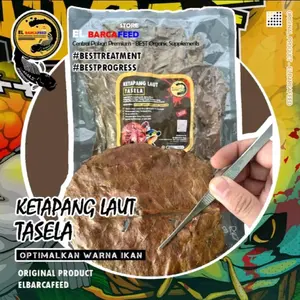 KETAPANG LAUT TASELA (Olahan Hasil Khusus Treatment Ikan) Original by ELBARCAFEED
