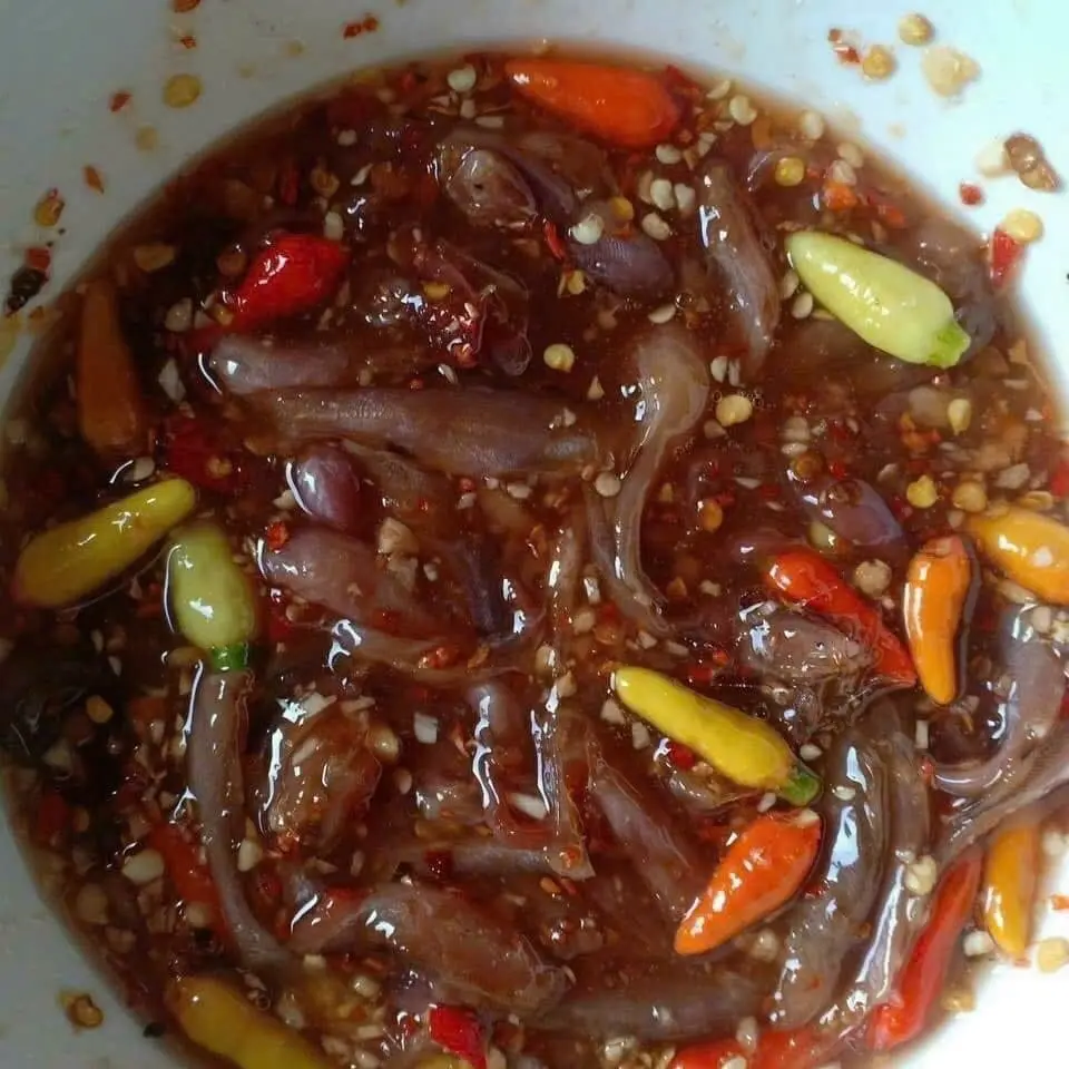 Mắm cá trèn sông thơm ngon hủ một kí ăn bao hao cơm ạ