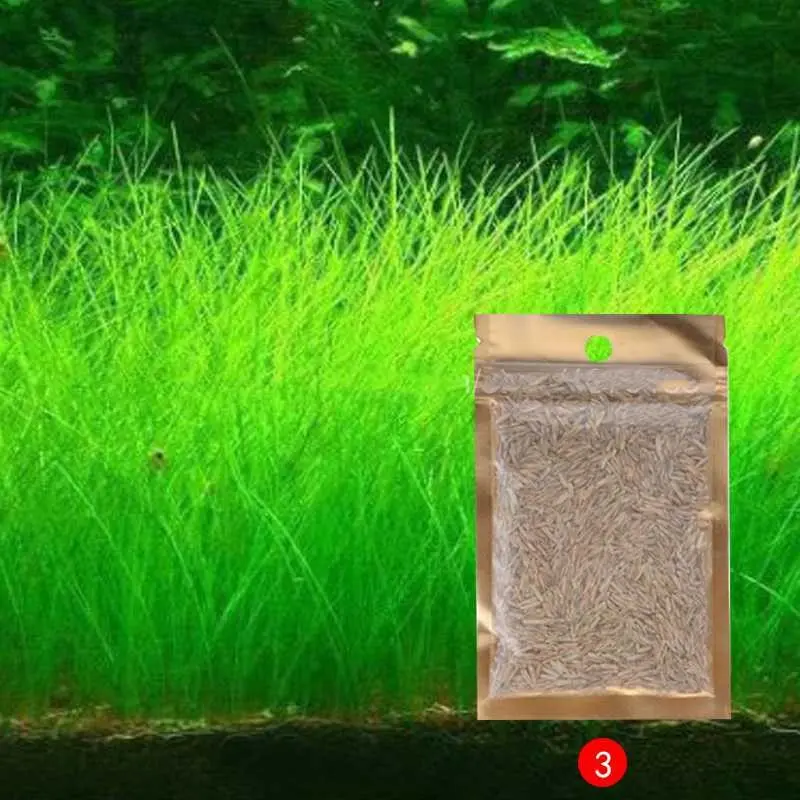 AShop Bibit Rumput Air Dekorasi Aquarium Landscape Ornament 10g 0