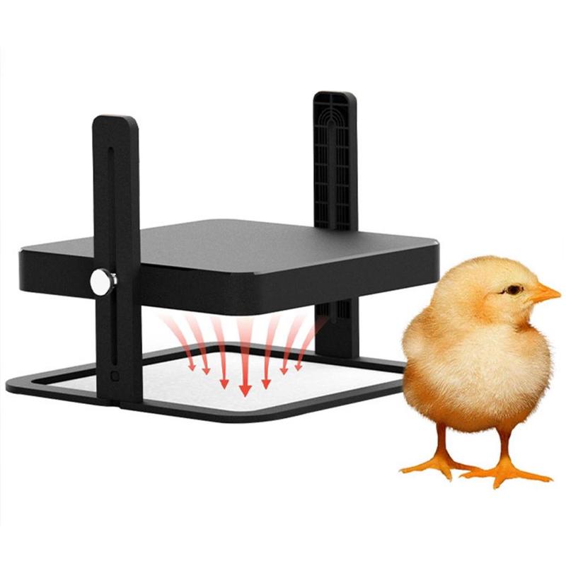 Chick Brooder Heating Board Temperature Controller Chicken Duckling ...