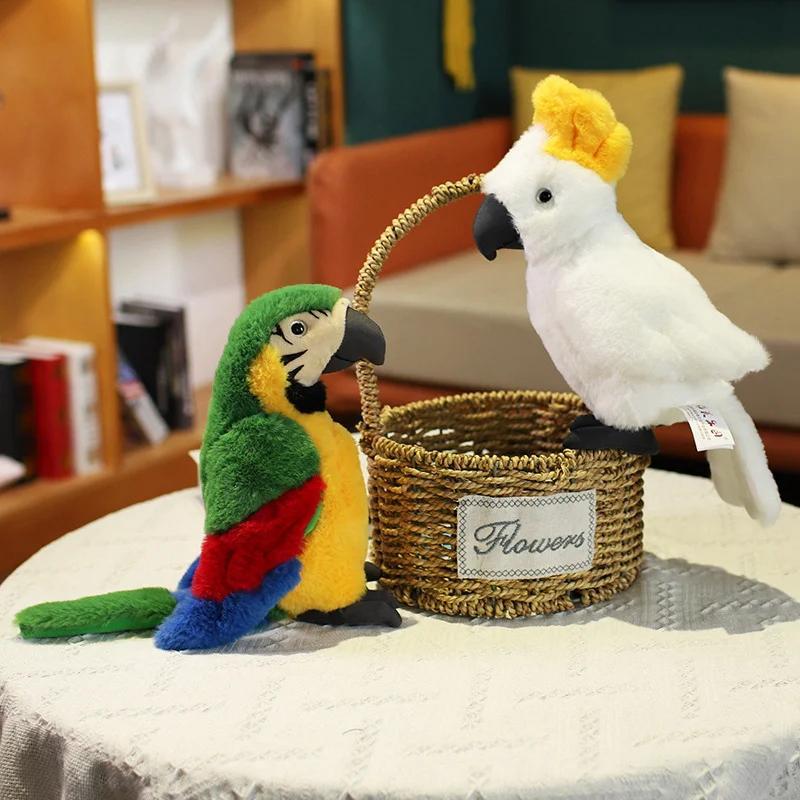Product Introduction of 25CM Lifelike Bright Colorful Parrot Plush Toys Soft Simulation Wild Animals Stuffed Bird Doll Children Kids Gift Home Decor 12