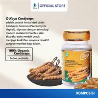 Gambar O’Kayo Nature Cordyceps Mycelium Capsule (Dong Chong Xia Cao) dari SSA Official Store Kota Administrasi Jakarta Pusat 3 Tokopedia
