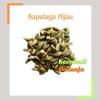 Gambar Kapulaga Hijau 50 Gram/ Kapulogo Hijau/ Green Cardamom dari KembaliBelanja.id Kab. Malang 1 Tokopedia