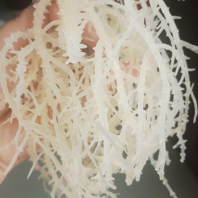 Rong Sụn Biển_Làm Gỏi, Nấu Chè_ Ngon , Mát_ sụn  rong  biển  sea  moss  gel