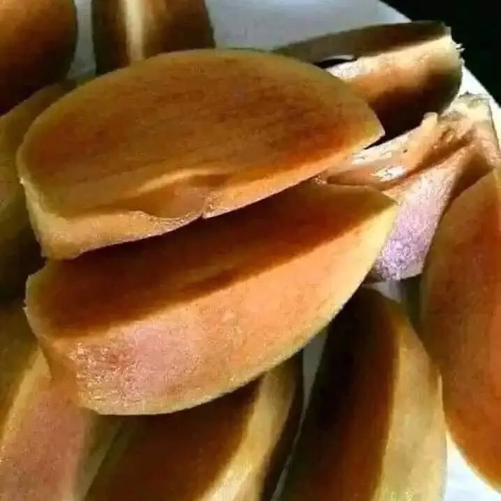 Combo 2 Cây giống hồng xiêm xoài - Sapoche 2