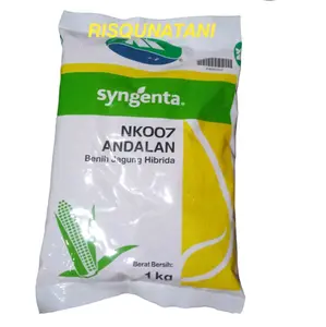 Benih Jagung NK 007 Andalan