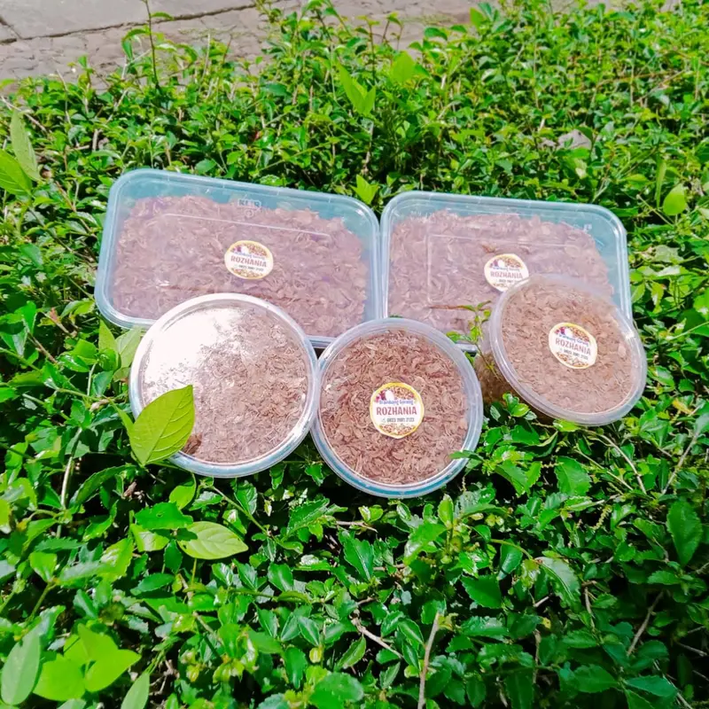 BAWANG GORENG ORIGINAL ASLI WONOGIRI 2