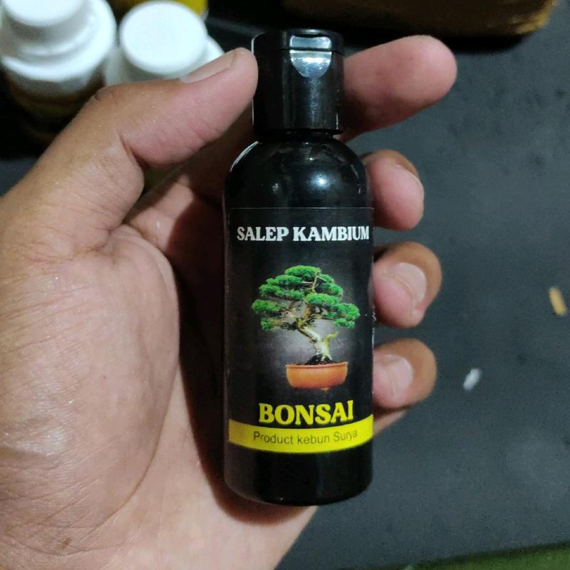 Saleb Kambium Bonsai Plus Anti Jamur 2