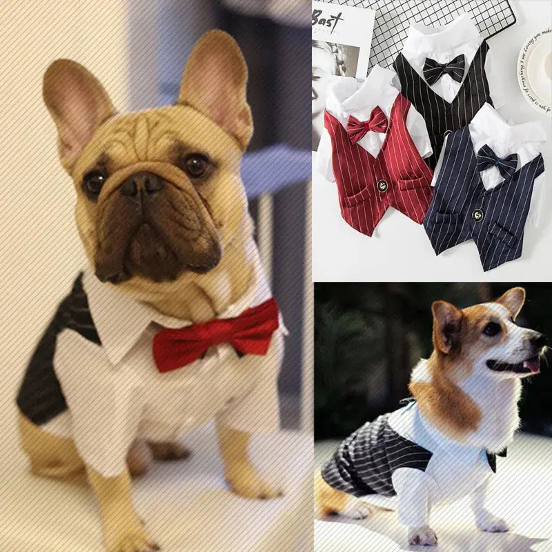 Pakaian Formal Haiwan Peliharaan, untuk Anjing, Sut Pesta Perkahwinan ...