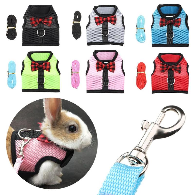 thetoo Professional Pet Lead Small Animals Rabbit Leash Collar - TikTok ...