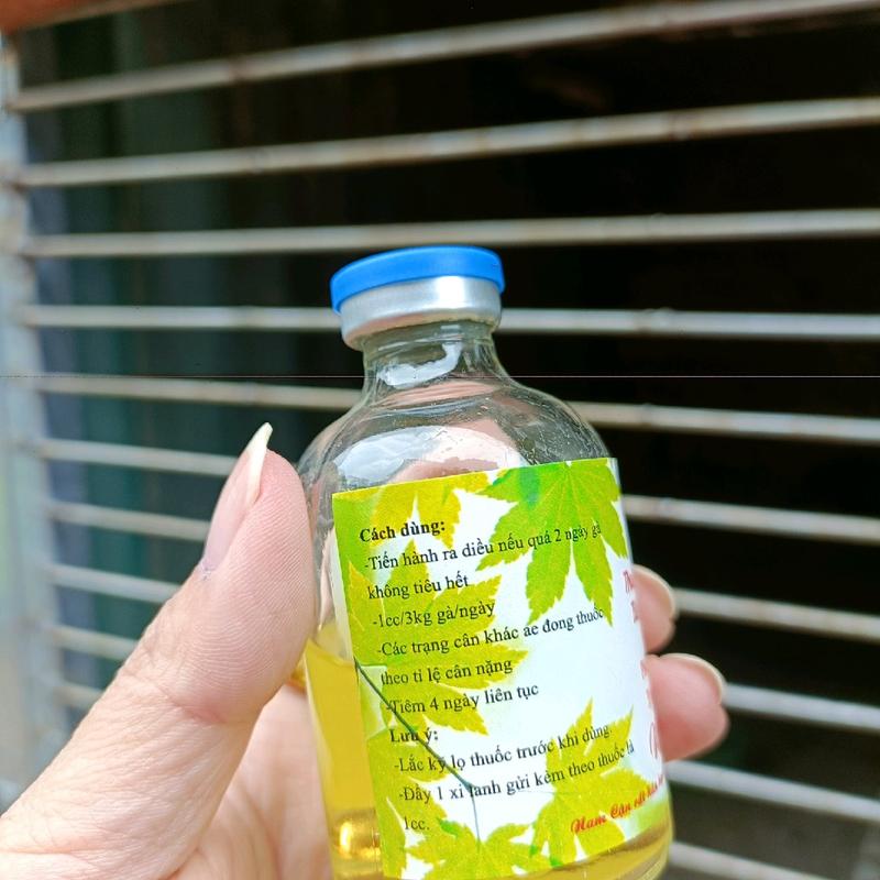 phân xanh phân trắng tụ huyết trùng nam cận 2