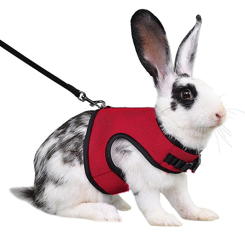 Product Introduction of Adjustable Soft Harness with Elastic Leash for Rabbits Harness Bunny Vest Harness Suit for Ferret Kittn Puppy Small Animals Pets 17