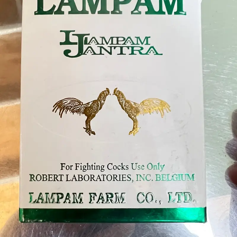 Nhõ Lampam tăng bo lực cho gà 0