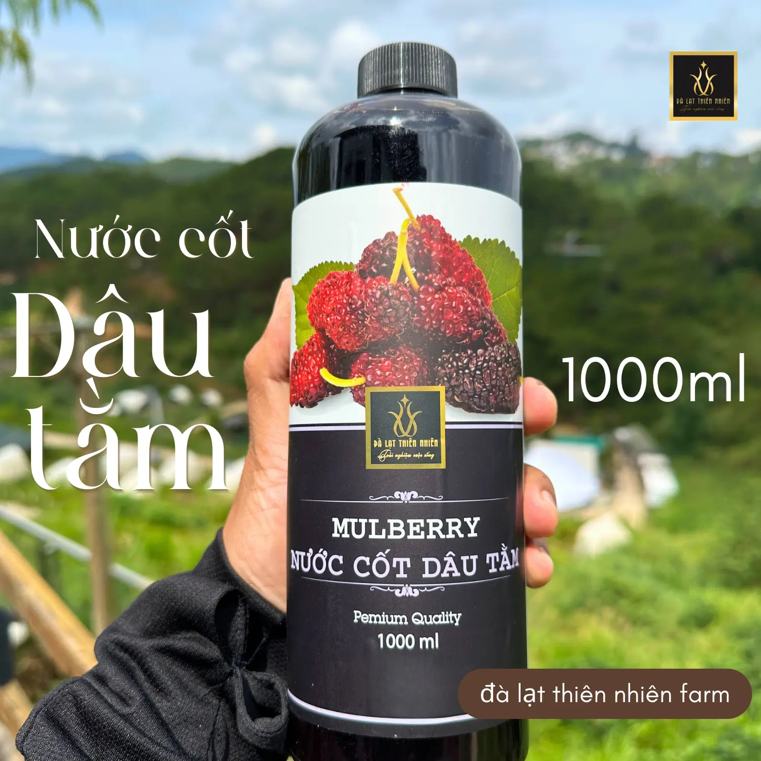 NƯỚC CỐT DÂU TẰM ĐEN - Chiết xuất từ trái dâu tằm tại cao nguyên Đà Lạt, dạng siro pha chế nước uống