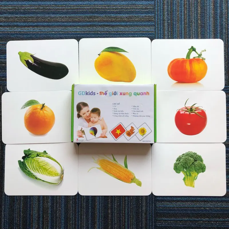 Flashcard Glenn Doman Thế Giới Xung Quanh - Bộ Thẻ Học Thông Minh Cho Bé 100 Thẻ TN0005 (Có hỗ trợ giáo trình học) ) 7