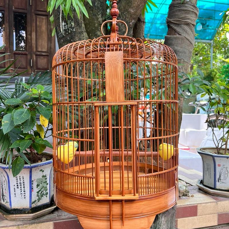 Lồng chim khướu trúc già side 40 & 42 cửa tầu - Hàng kèm phụ kiện - Cóng xứ - Áo lồng, cầu laze, móc nậm đồng long