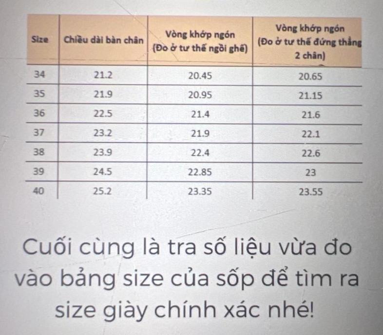 Product Introduction of Giày Cao Gót Quai Đá 2 Quai Tôn Dáng Thanh Lịch - TOP WOMEN Shoes - Size 35-39 - Nhung, DéP 0