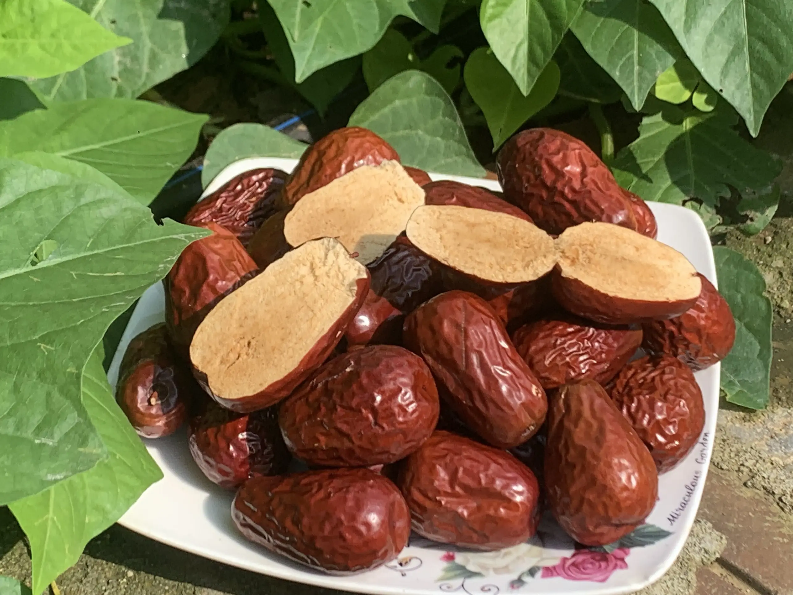 Táo Hảo Hảo Size 100 - 110 Quả /Kg, Tuấn Táo Hoà Điền Tân Cương Ngon , Ngọt , Dẻo , Vị Chua Nhẹ Hàng Vụ Mới Thu Hoạch Năm 2024