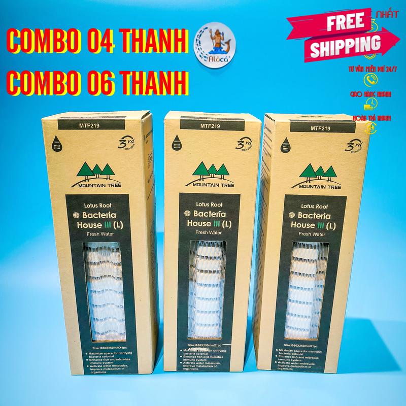 Combo 04, Combo 06 thanh Sứ Mountain Tree củ sen thế hệ 3 v3 cỡ to 8x25cm cho hồ cá cảnh