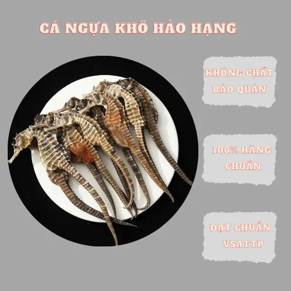 Combo 2gr con cá khô dài 10cm cá ngựa ngâm rượu