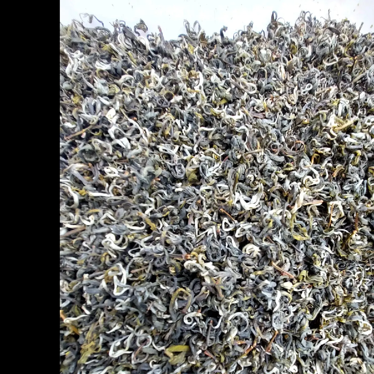 lục trà một tôm hai lá 500g