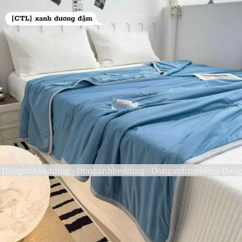 Chăn Điều Hòa Thun Lạnh Mềm Mát ĐỒNG ANH BEDDING Chăn Hè Mỏng Thoáng Điều Hoà Không Khí, Chăn Dùng Cho Gia Đình, Chăn Hè Cho Bé Dùng 4 Mùa Hàng Chuẩn Loại 1, Kích Thước 2mx2m3 4