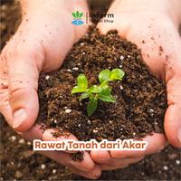 Gambar INFARM - Pupuk Organik Padat Slow Release 500g Penyubur Tanah & Buah Lebat dari Infarm Kota Surabaya 4 Tokopedia
