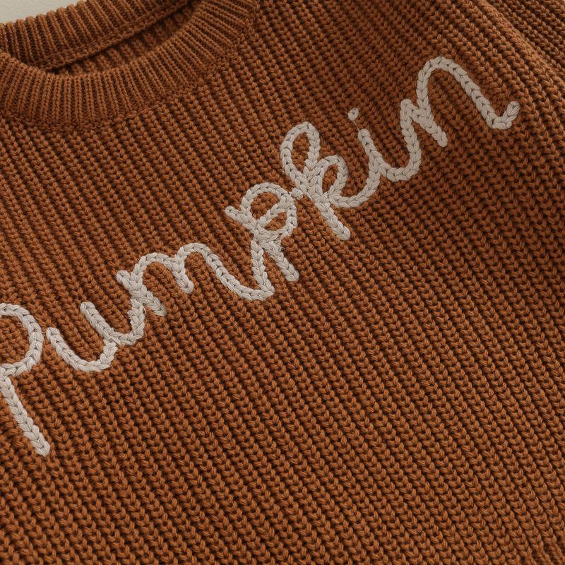 Product Introduction of Toddler Girls Autumn Winter Knit Sweater Long Sleeve Crewneck Letter Embroidery Pullover Knitwear 39