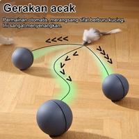 Gambar Vinnatsu Bola Mainan Hewan Peliharaan Pet Mainan Anjing Kucing Bola Mainan Kucing Bola Tikus Listrik Bergulir Cerdas Hewan Peliharaan Bola - Oranye dari Vinnatsu official Kab. Tangerang 4 Tokopedia