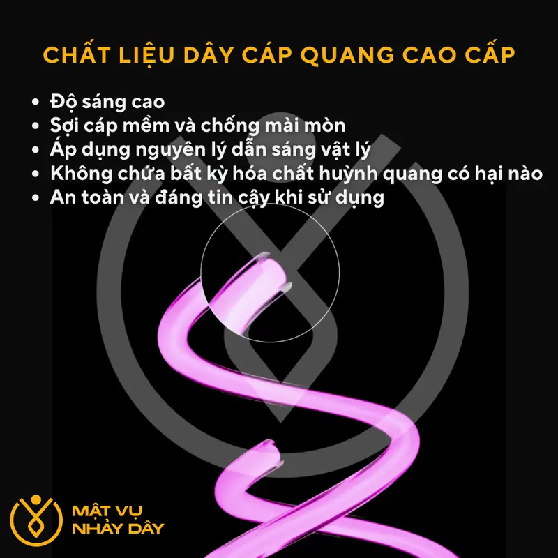 Dây nhảy phát sáng, dây nhảy đèn LED có thể điều chỉnh độ dài, dây nhảy nhiều màu sắc để tập thể dục – Mật Vụ Nhảy Dây 2
