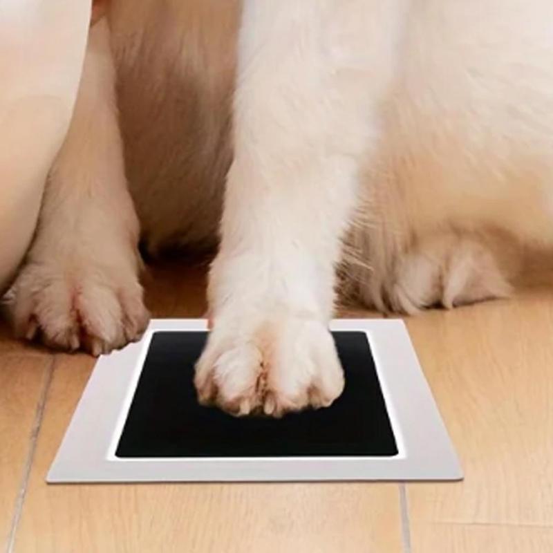 Product Introduction of Pet Footprints No-Rinse Stamping Oil Pet Footprint Stamps X5B3 39