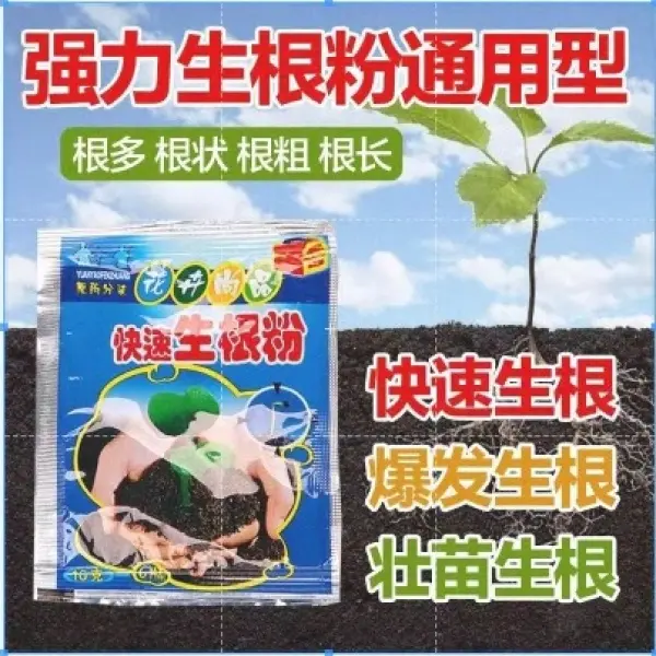 UP' HOT SALEONE10 Pcs Quick Growth Fast Rooting Powder Rooting Hormone Powder Improve Flowering Cutting Survival Rate
