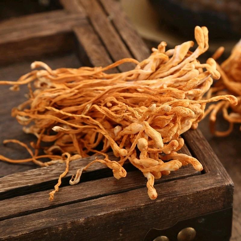 Đông Trùng Hạ Thảo Sấy Khô 100gr 2