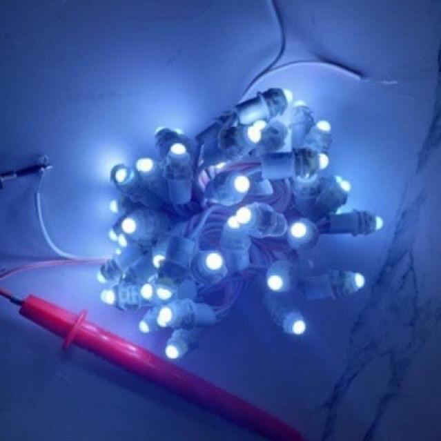 Led đúc F5 12V ngoài trời trang trí quấn cây đủ màu 7