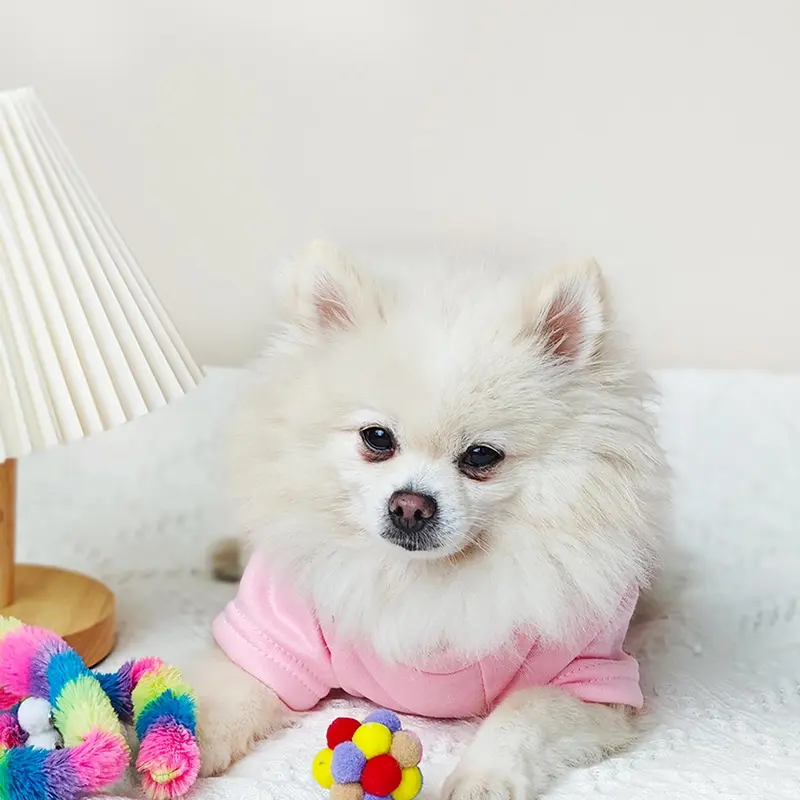 Creative Letter Print Pet Hoodie, Cute Pet Clothes for Small Medium Dogs & Cats, Pet Clothing Supplies for Indoor Outdoor Wear 7