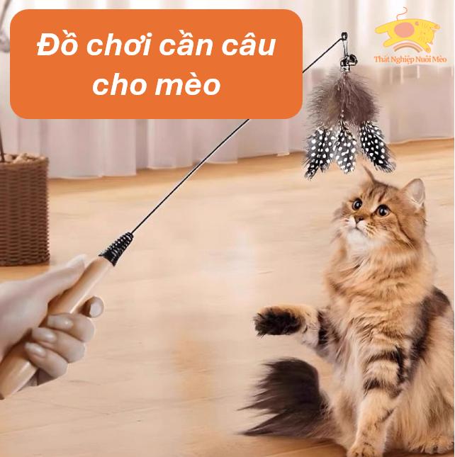 Đồ chơi cho mèo - Cần câu dây thép lò xo cán gỗ đầu gắn lông vũ - Đồ chơi tương tác thú cưng