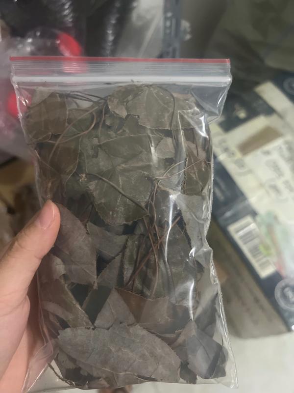 Combo 100 con bổ củi rang khô tự nhiên 1